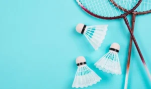 Cầu Lông Tại VN86